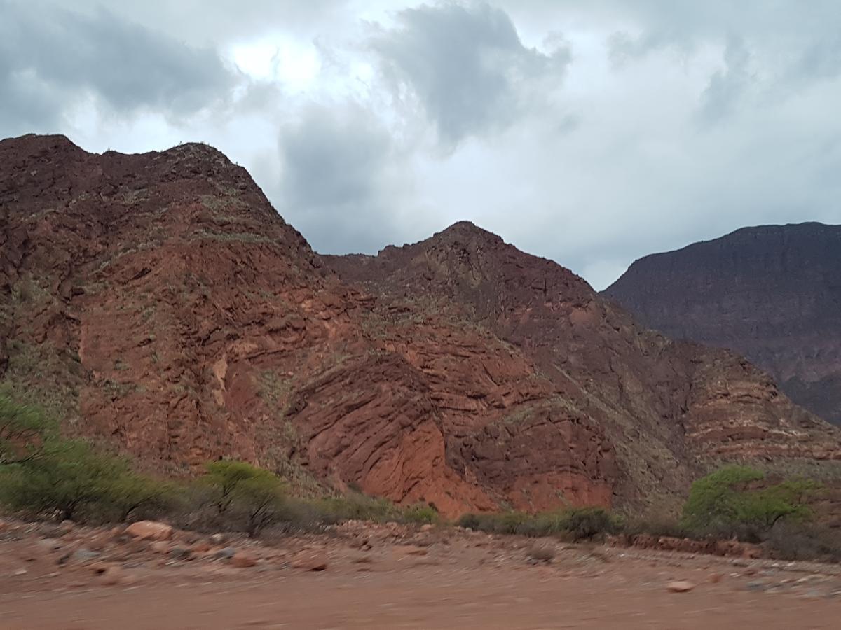 فندق سالتافي  Kusisa المظهر الخارجي الصورة